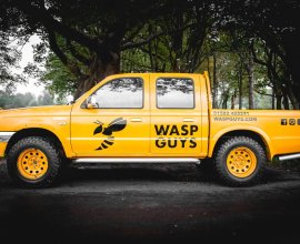 Wasp Guys