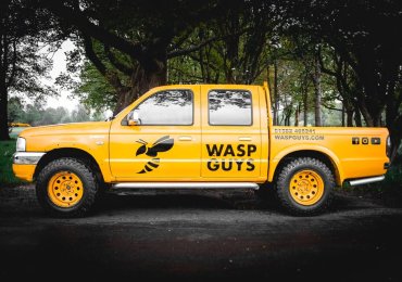 Wasp Guys