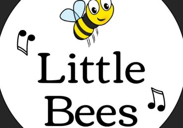 Little Bees Music Classes