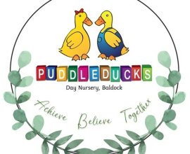 Puddleducks