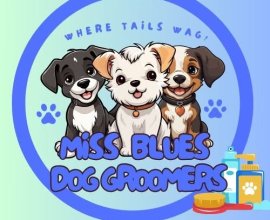 Miss Blues Groomers
