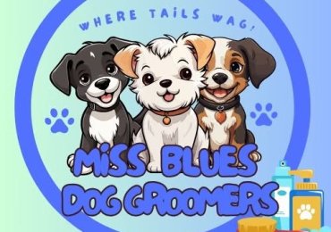 Miss Blues Groomers