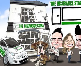 The Insurance Store