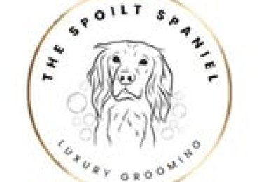 The Spoilt Spaniel