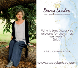 Stacey Landau Breathwork
