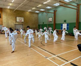 Palcic Taekwondo Hemel Hempstead