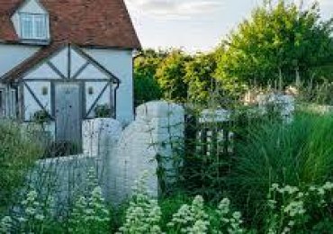 Daniel Shea Garden Design