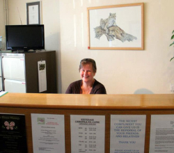 Stevenage Chiropractic Clinic