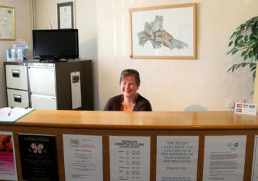 Stevenage Chiropractic Clinic