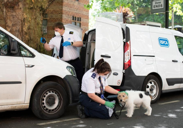 RSPCA Animal Rescue Service