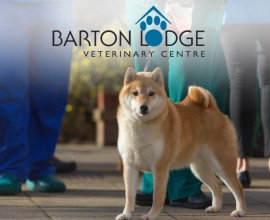 Barton Lodge Vets