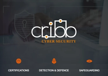 CRIBB Cyber Security