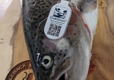 The Stickleback Fish Co Ltd