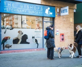 Bishops Vets, Hatfield