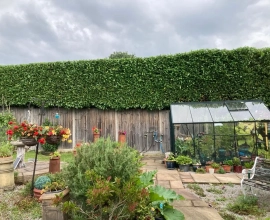 Herts Tree and Garden Services