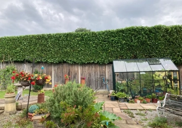 Herts Tree and Garden Services