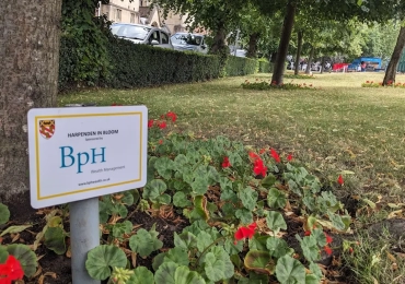 BpH Wealth Management LLP