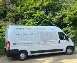The Lounge Vet