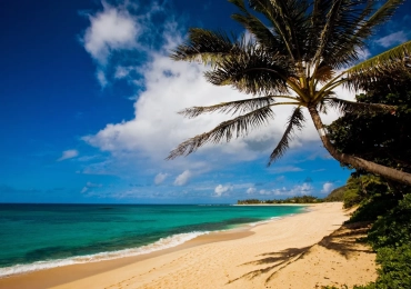 Vacations to America