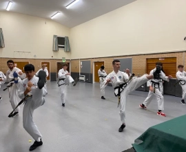 HSTS Taekwon-Do – Martial Arts