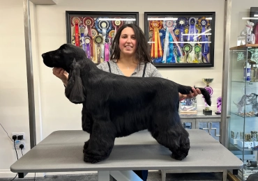 Barkingham Palace Pet Grooming