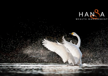 Hansa Wealth Management