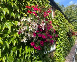 Rich Roots Gardeners Ltd