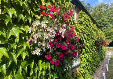Rich Roots Gardeners Ltd