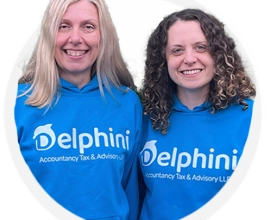 Delphini Accounting Tax & Advisory LLP