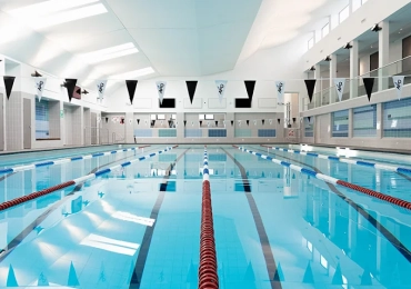 Wildfish Swim School