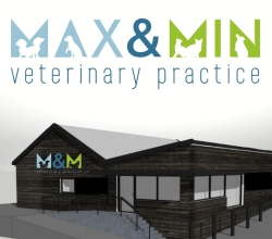 Max and Min Veterinary Practice