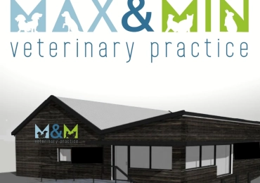 Max and Min Veterinary Practice