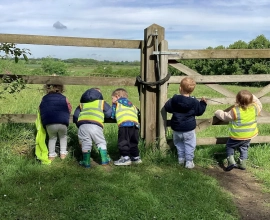 Little Bee’s Day Nursery