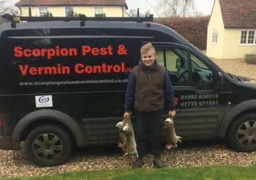 Scorpion Pest & Vermin Control Ltd