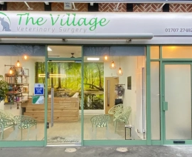 The Village Veterinary Surgery