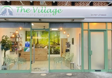 The Village Veterinary Surgery
